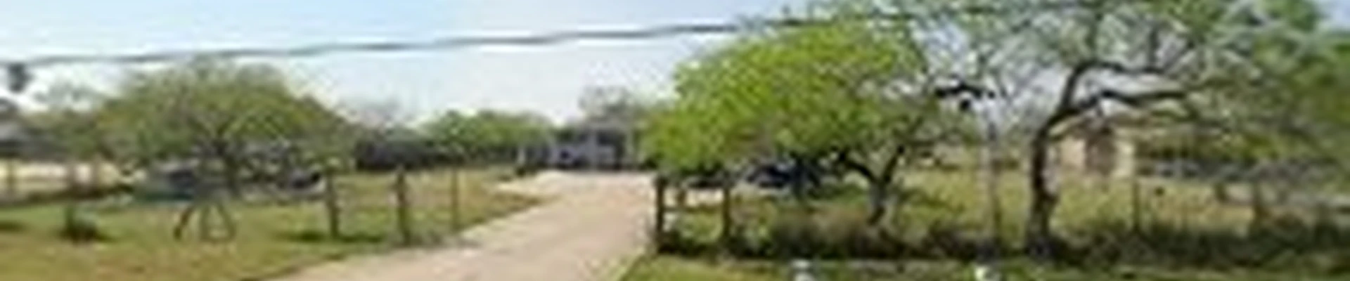 Top Notch Tree Services Rgv