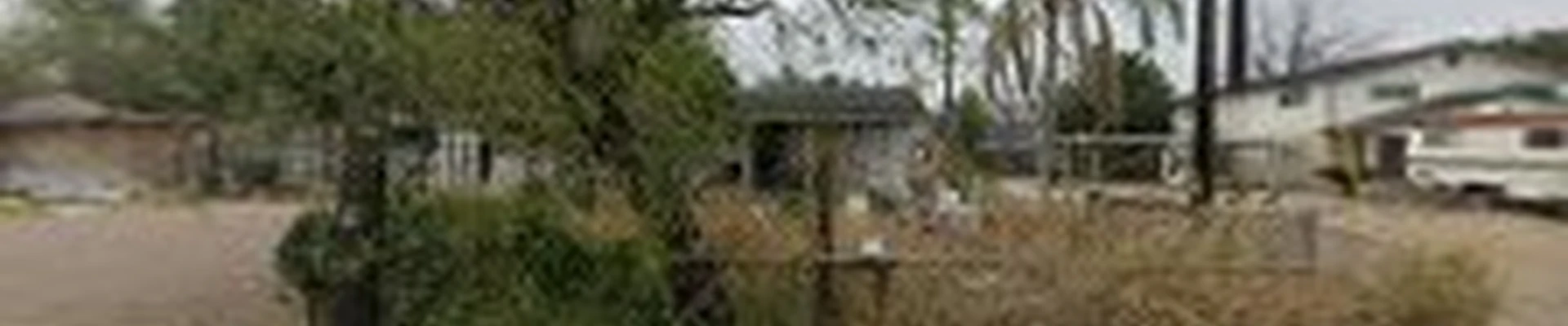 Juan Palmas Tree Service Stump grinding