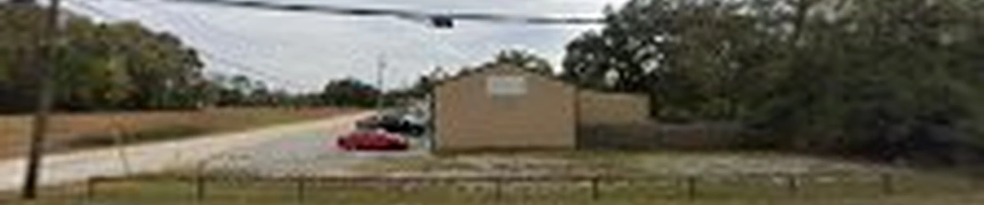 Timber Tree Service