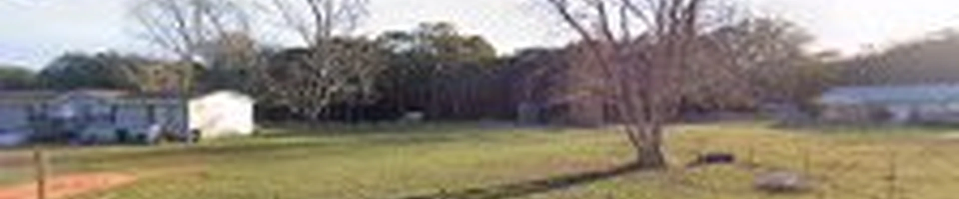 Tri-State Tree Service