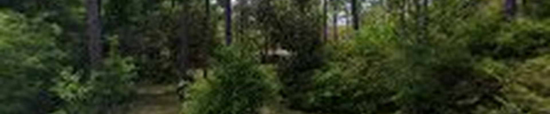 Ascent Tree Works