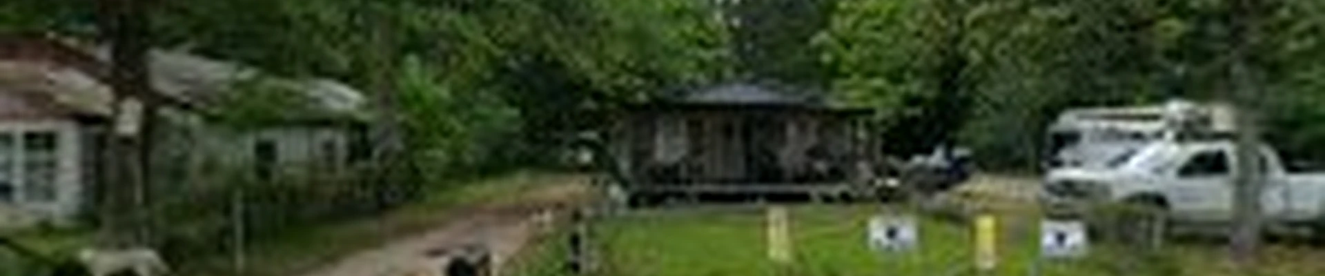 Gene Rivers Tree Service