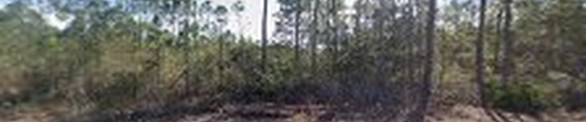 Homan tree service