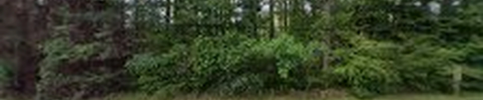 Top Notch Tree Care