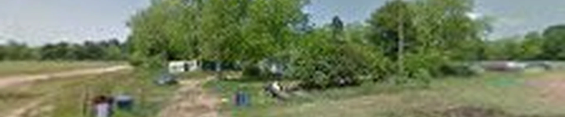 Chris Francis Tree Care