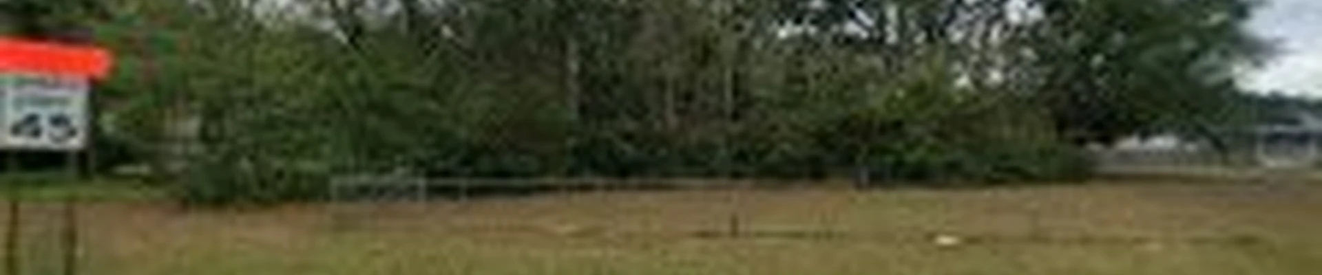 Phillips Tree Service