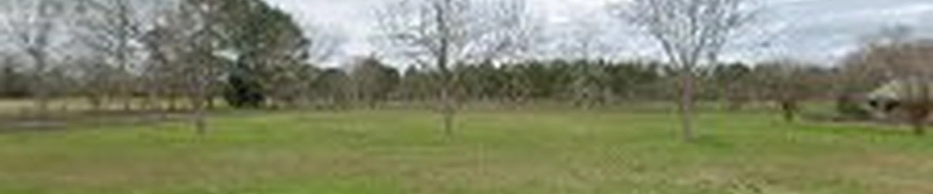 Heaven Sent Tree Service and Recovery