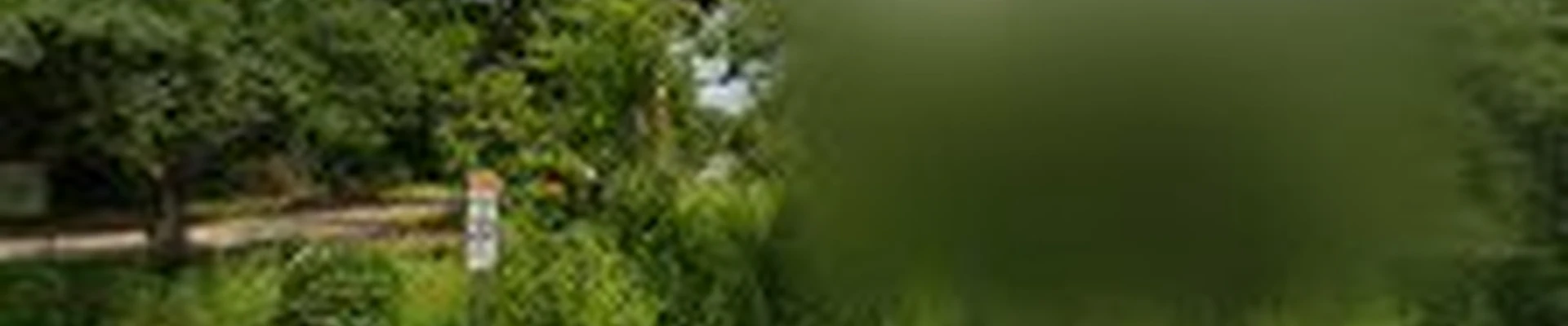 Big John's Tree Service Fairhope