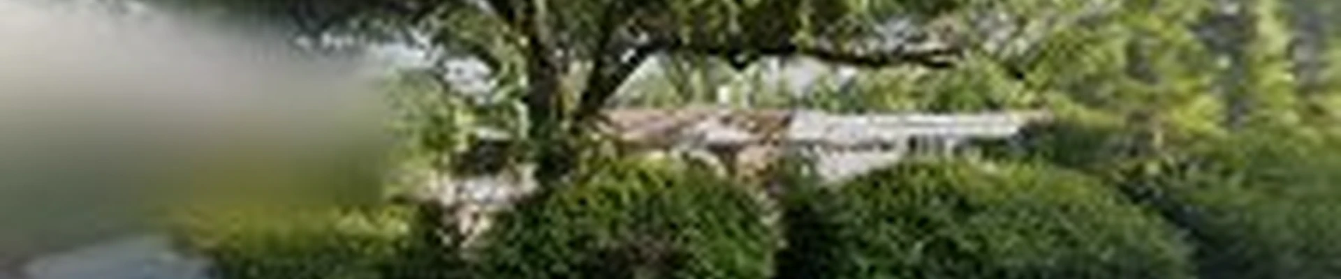 GreenTech Forestry and Tree Removal