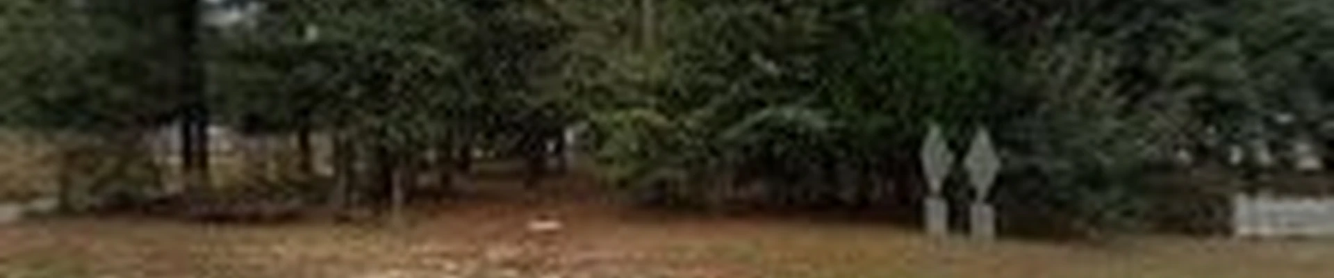 Best Tree And Sprinkler Service