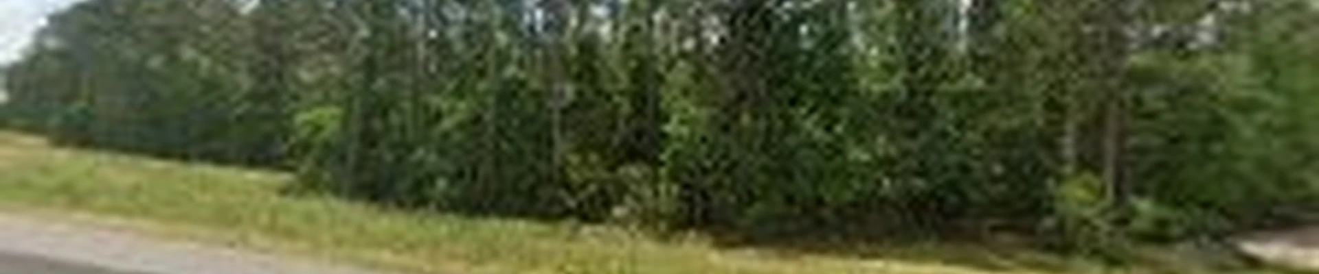 Dirt cheap tree service