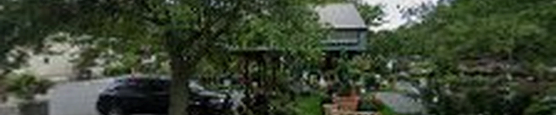 The Plant Shoppe