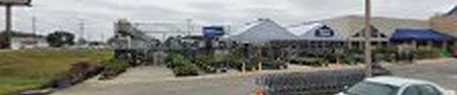 Lowe's Garden Center