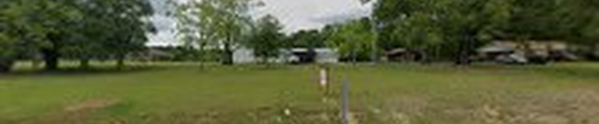 Affordable Stump Grinding