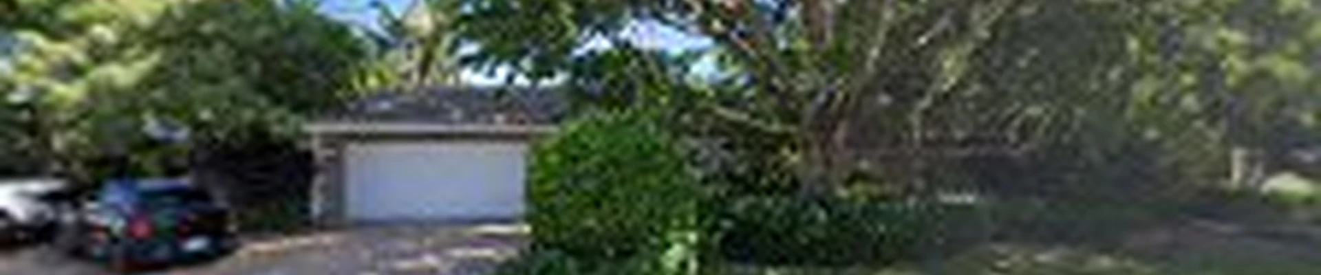 Surfside Tree & Landscape Inc