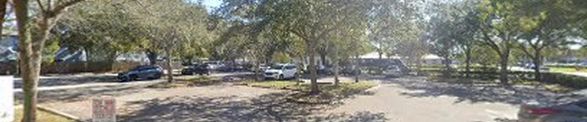 Chase Tree Removal Service Coral