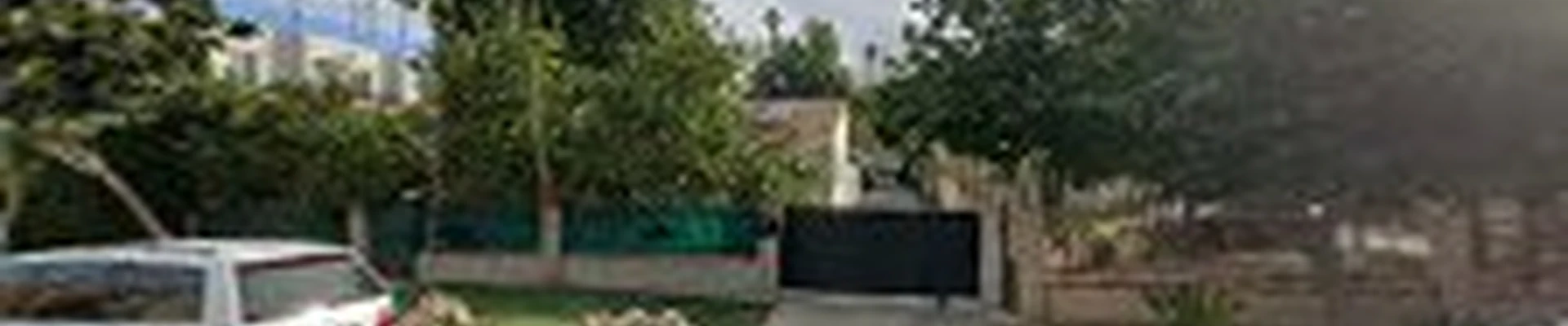 Leonel Santiago Tree Trimming and Landscape