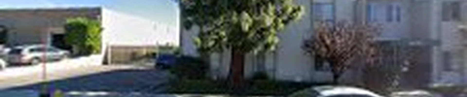 Trees 'N Things