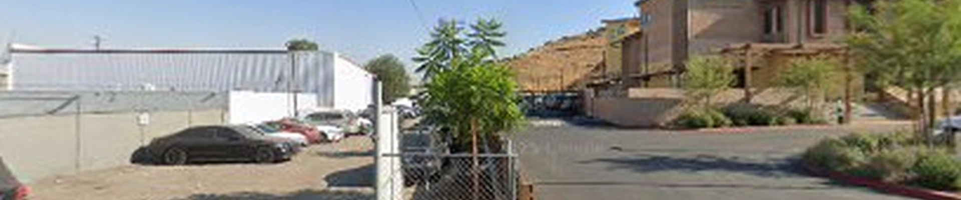 Rice Trees of Santa Clarita