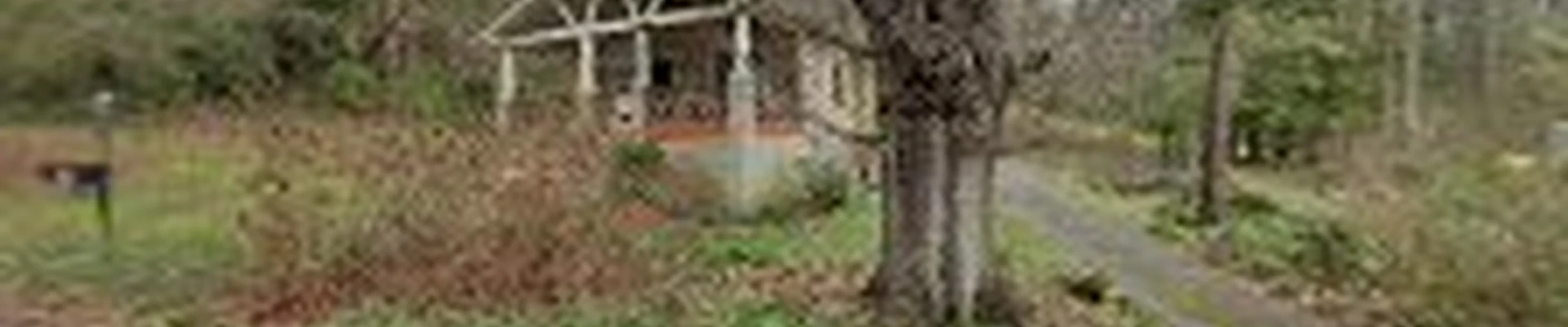 Birchman Tree Services