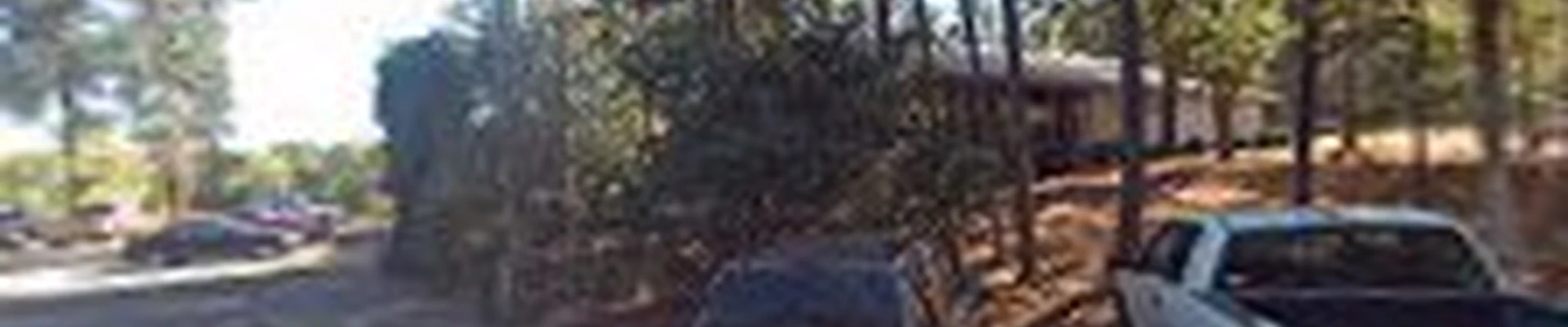 Beaty's Stump Grinding LLC