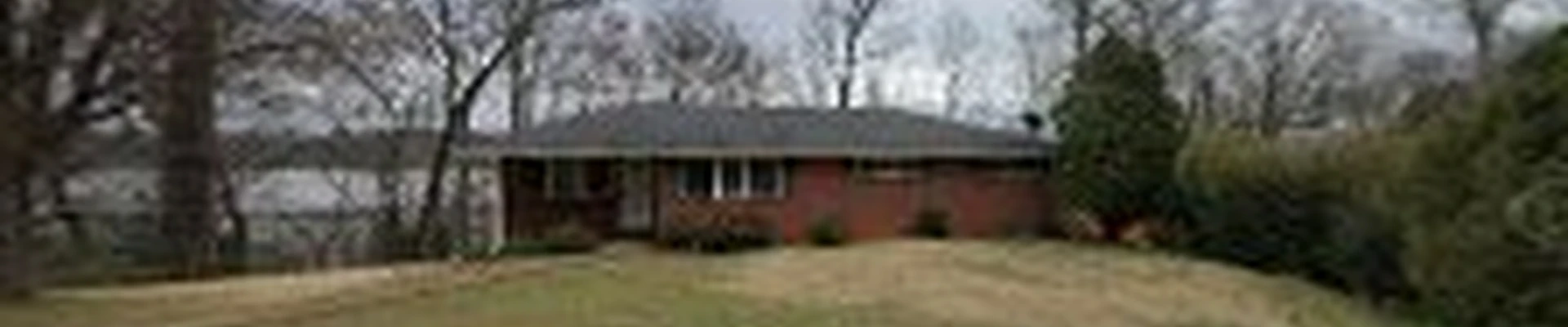 Chattanooga Kingz Tree Service