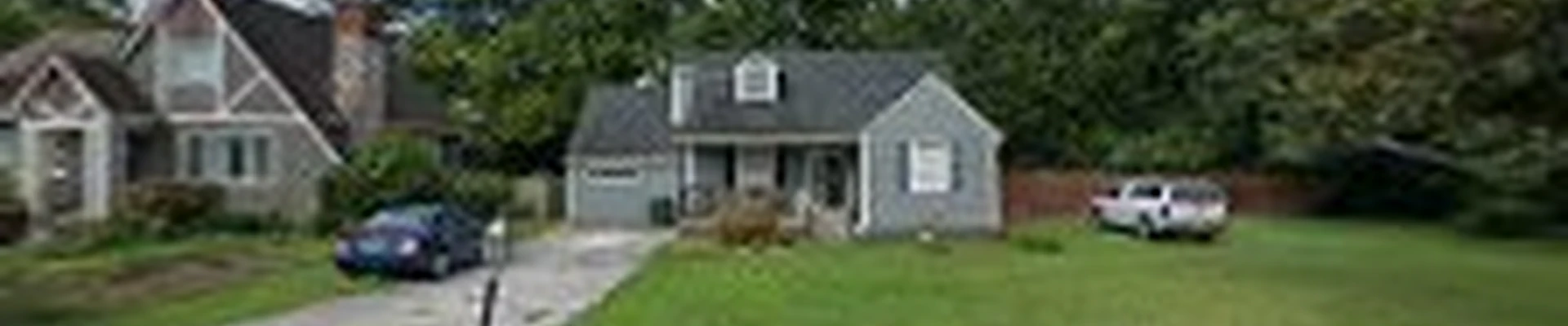 Tree service and Painting