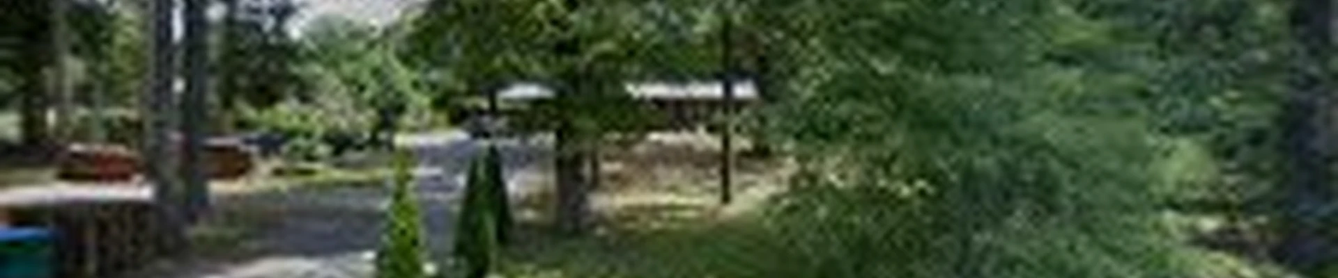 Thomas Tree Service And Lawn Care Service LLC