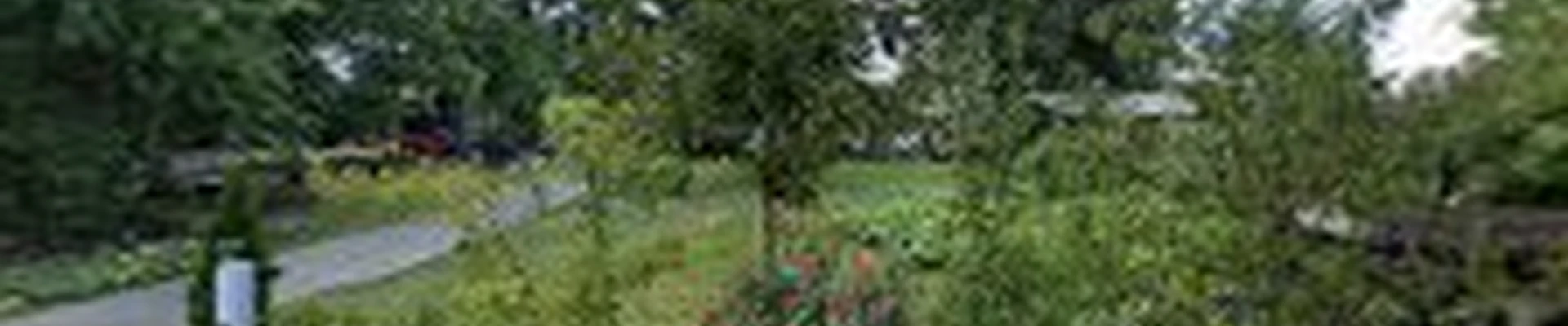CHAVO TREE SERVICE LLC