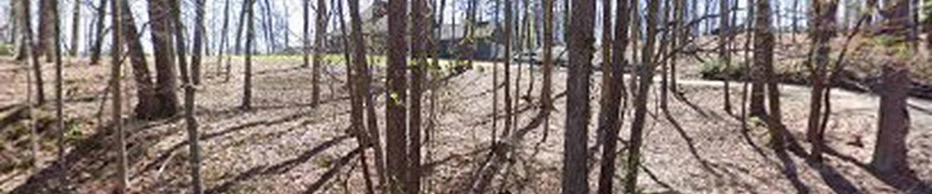 Two Brothers Tree Service / Two Brothers Services