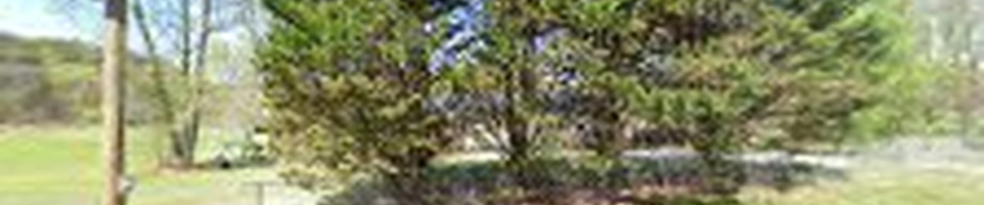 Hodward's Tree Service