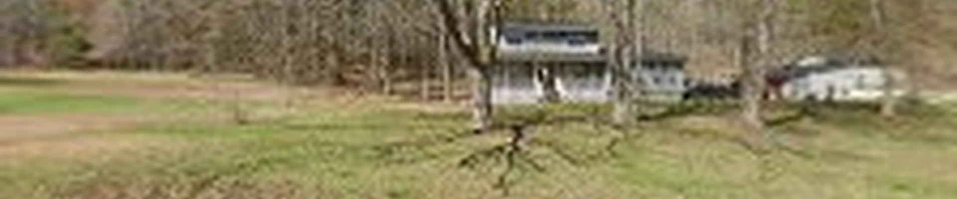 Towe's Tree Service