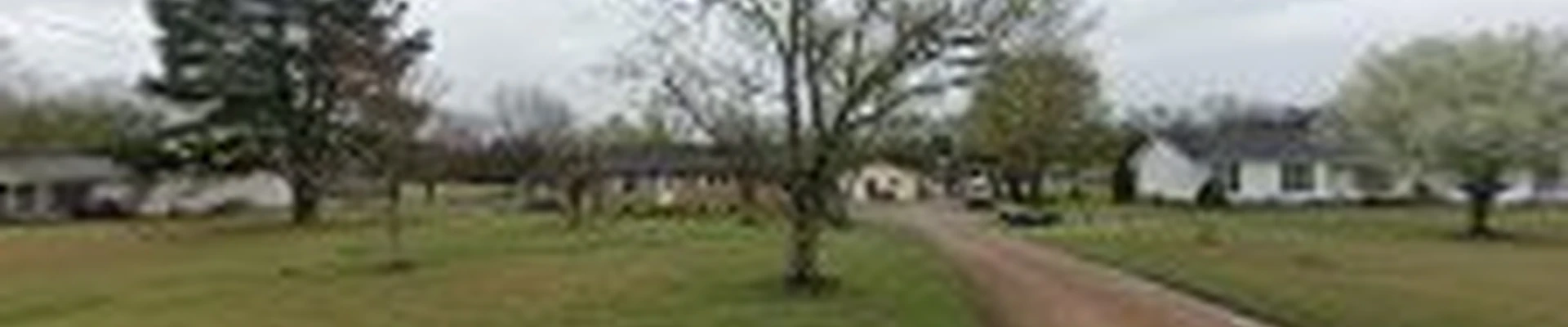 Hernandez Tree Service LLC
