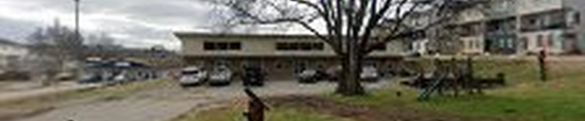 Henley Tree Specialist
