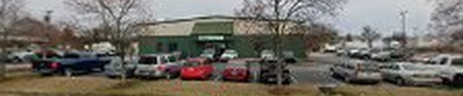 TruGreen Lawn Care