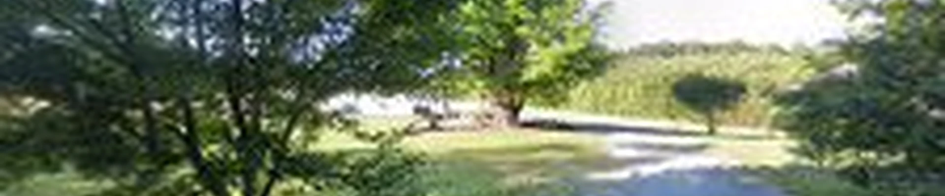 Tennessee Tree Service