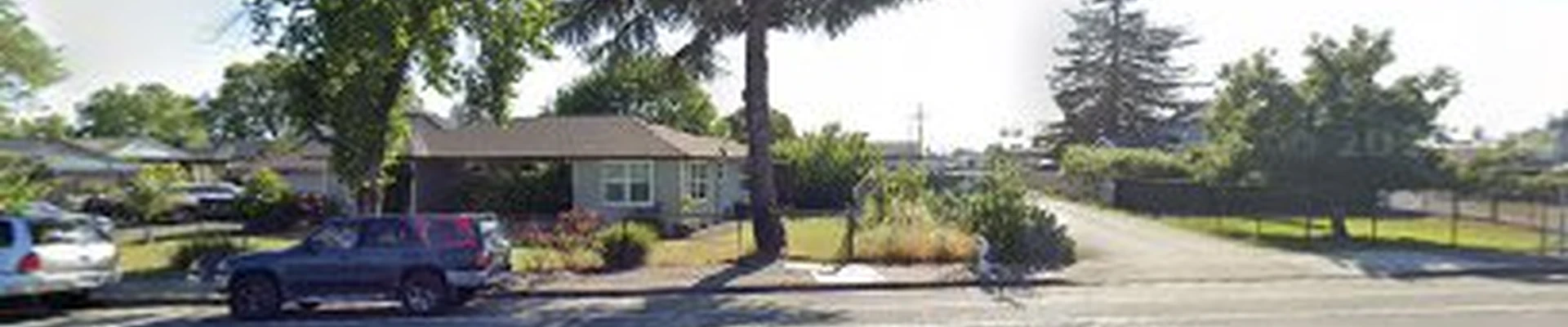 Monarch Tree Services