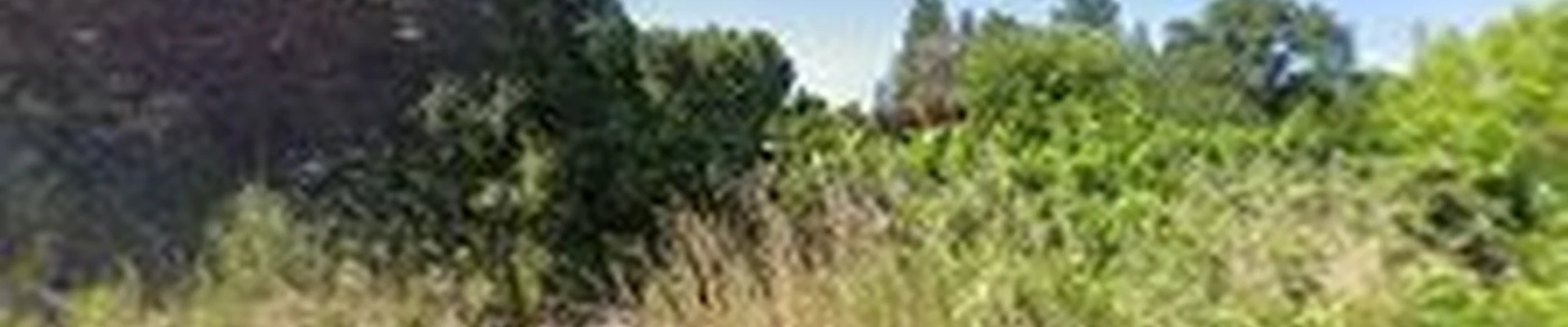 JB TREE 365 LLC