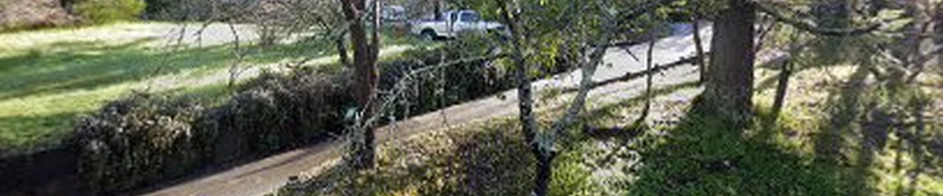 Sturgeon Tree Service