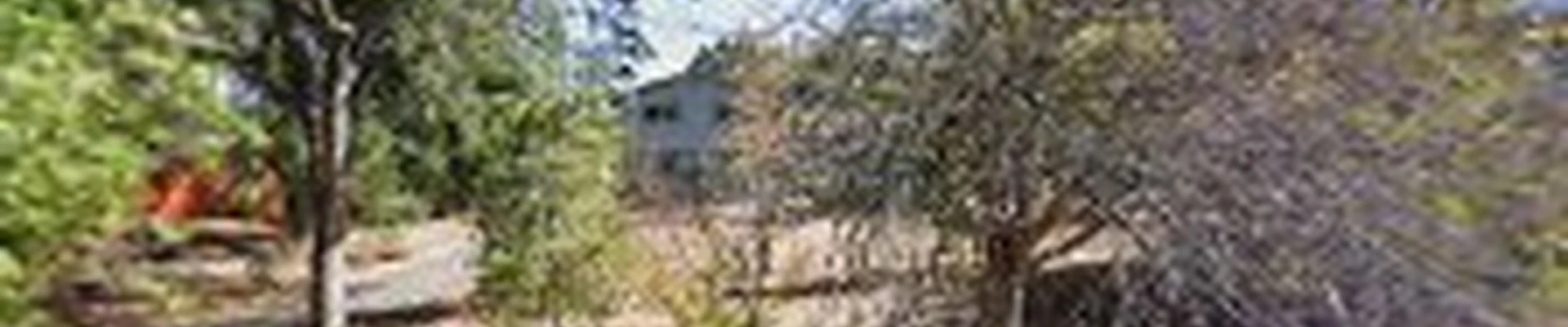 Northgate Tree Care