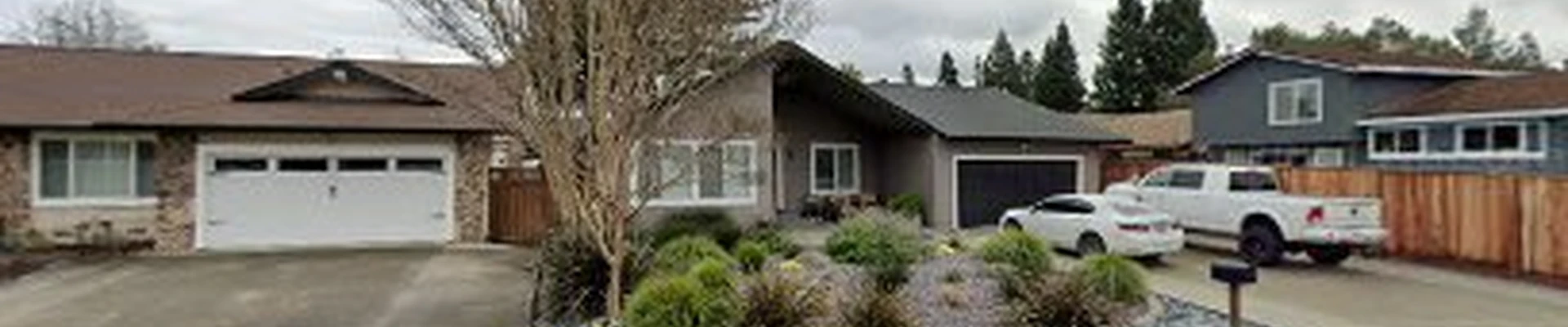 California Tree Care