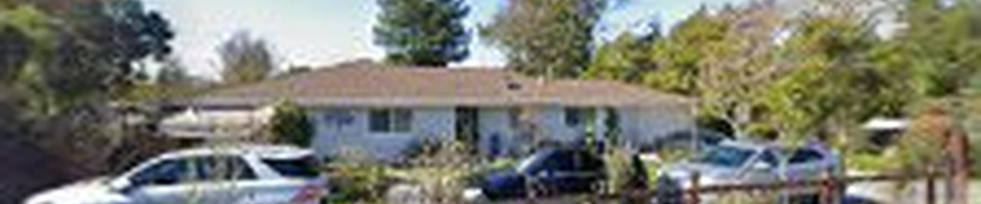 Arborcare Group Inc | The Tree Specialists