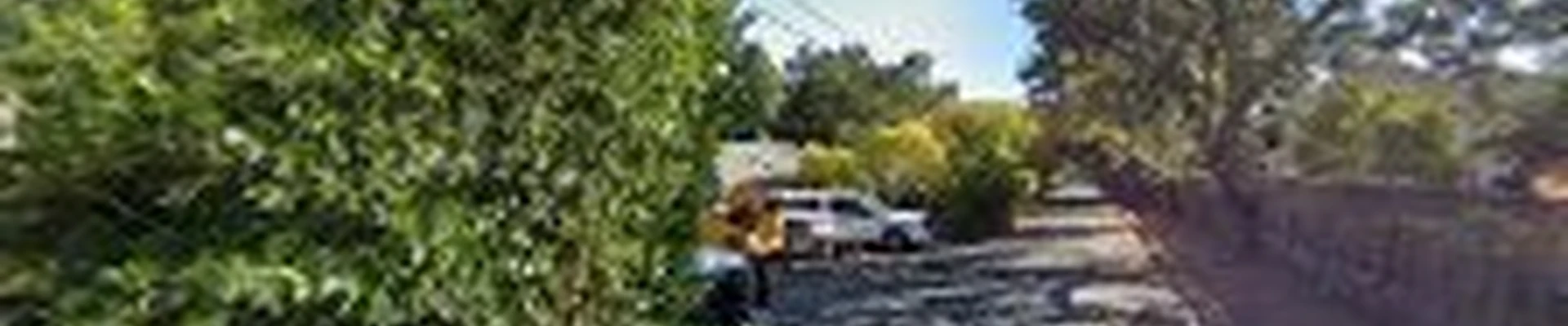 Hagstrom & Sons Tree Service