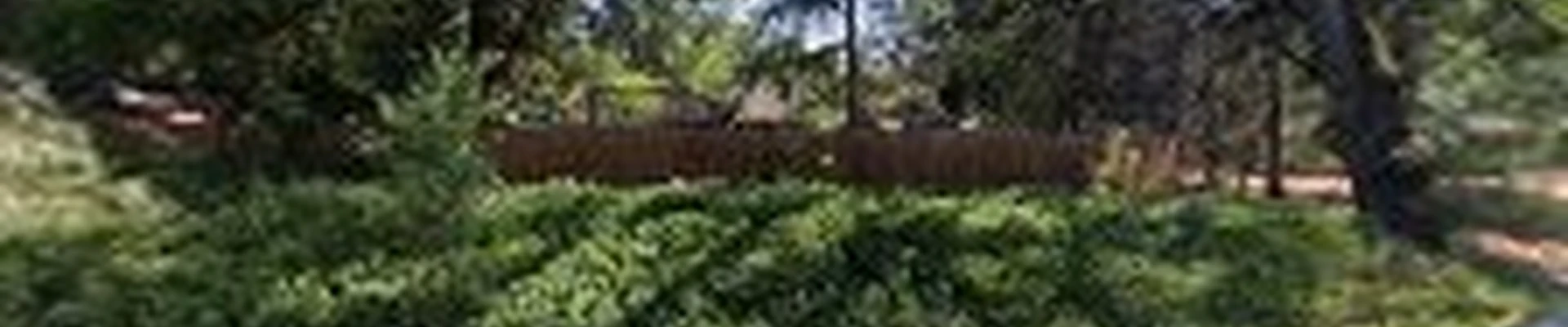 Systemic Tree Service, Inc.