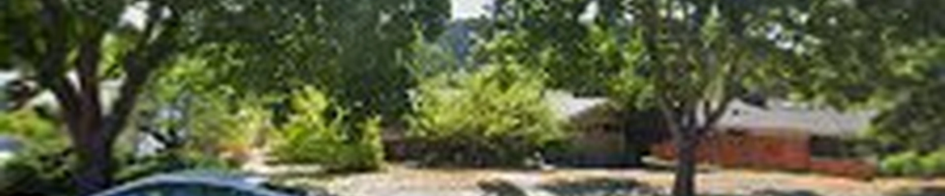 Advanced Tree Care LLC