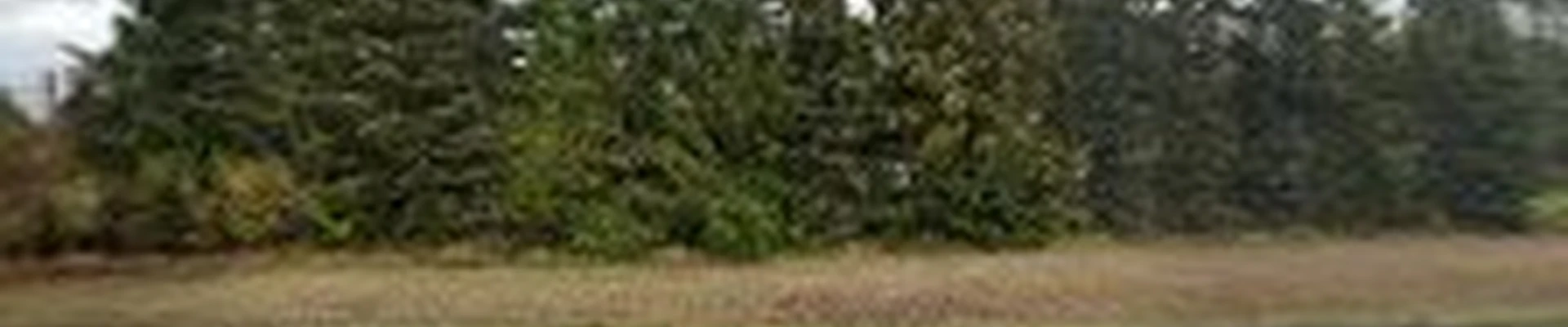 Camp 5 Tree Service LLC