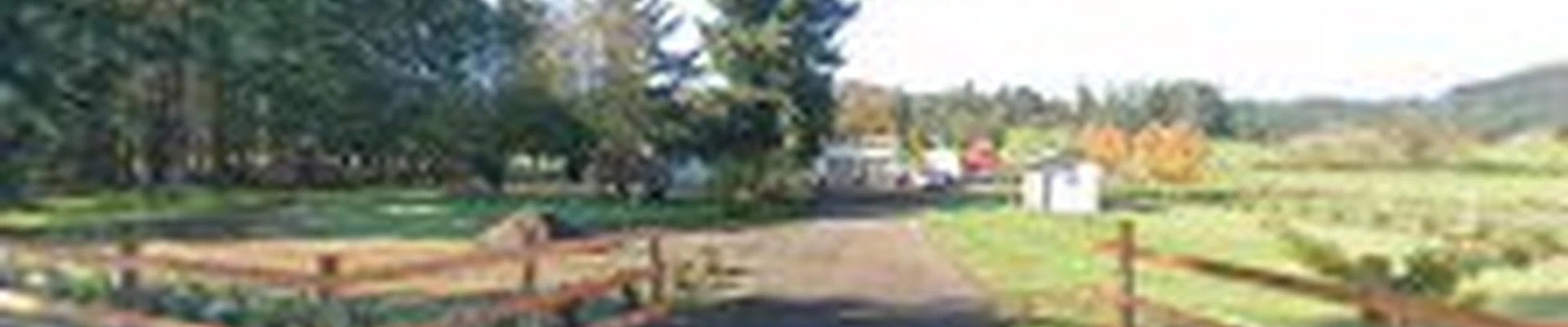 Three Peaks Tree Service LLC