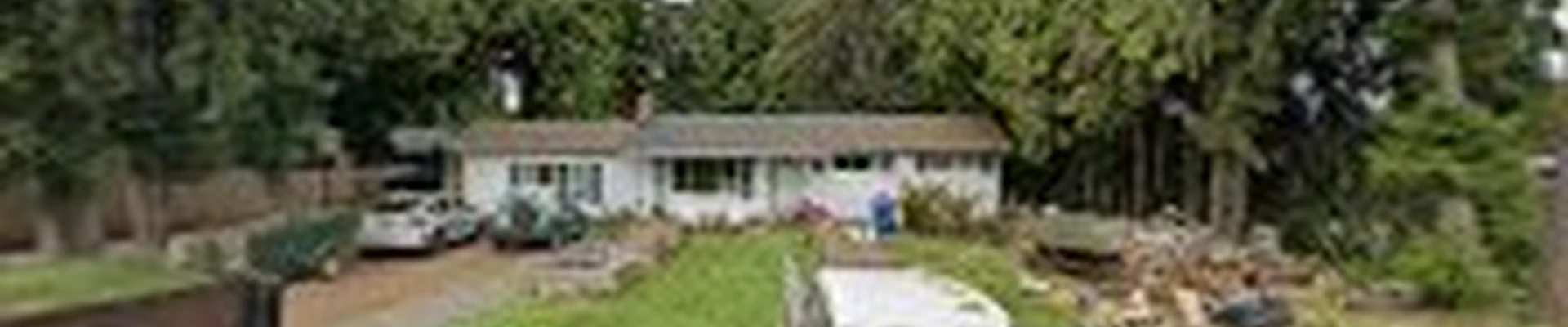 Shaeffer Tree Solutions LLC
