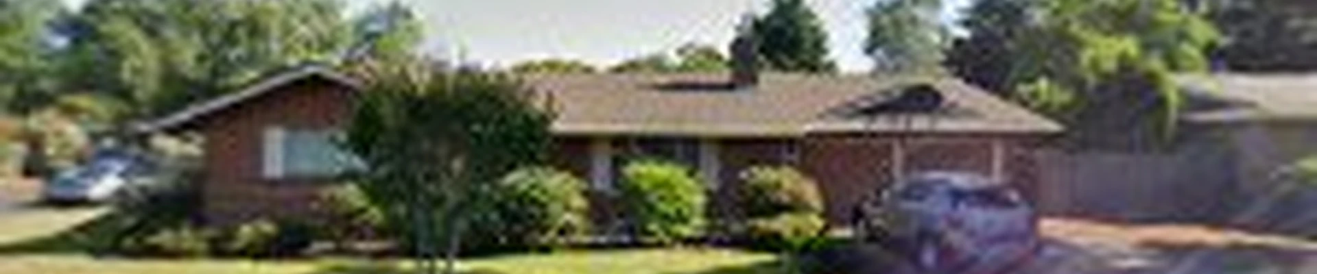 Urban Arbor Care, LLC | Tree Removal & Arborists