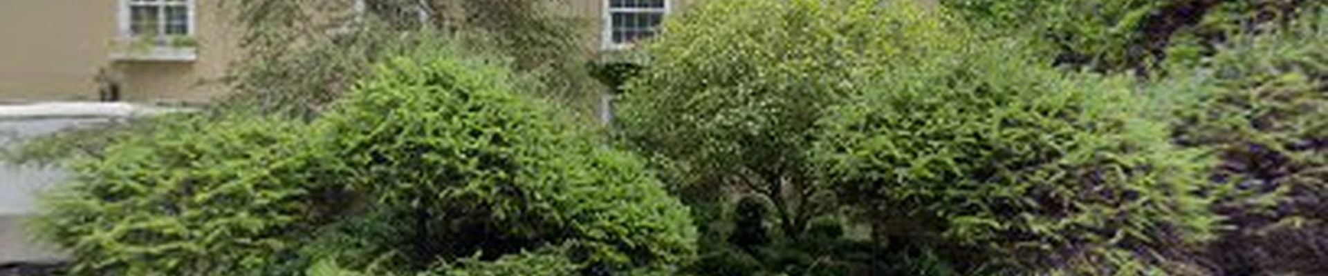 TreeWorks